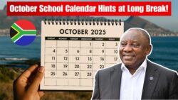 DBE Signals October 2025 South Africa School Calendar Update – Are Extended Holidays Coming?