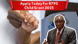 Province Wise R790 Child Support Grant 2025 – Eligibility Rules And How To Apply In South Africa