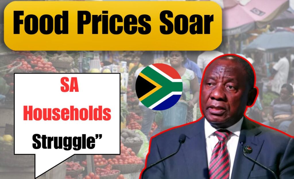 SA Households Brace