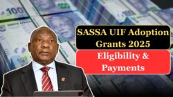 Adoption Support 2025: UIF Cash Benefit + SASSA Child Support with Top-Up — Payment Calculations & Processing